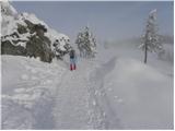 Kranjski Rak - Kapela Marije Snežne (Velika planina)